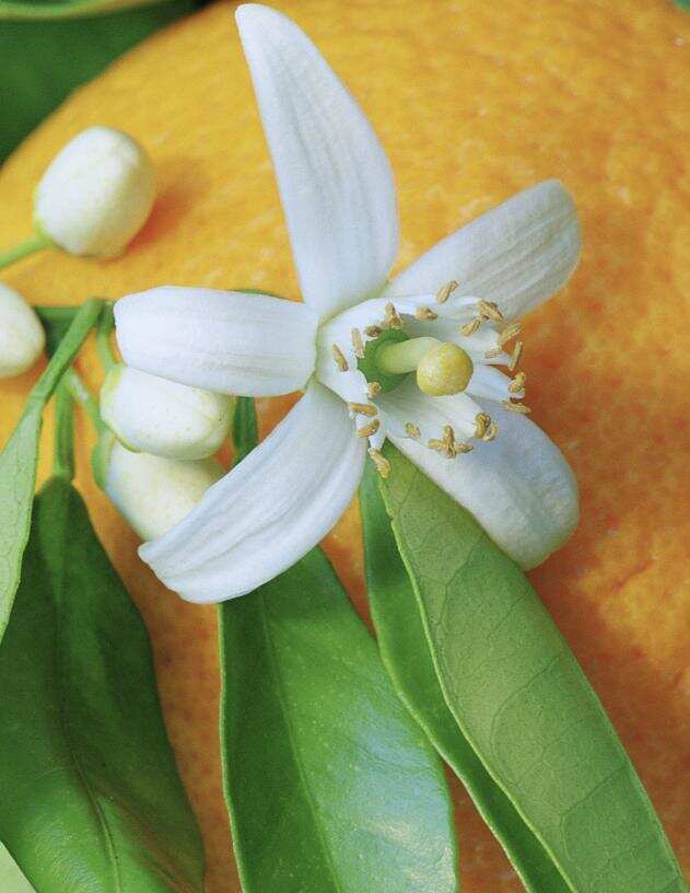 喝花酒必备基础知识