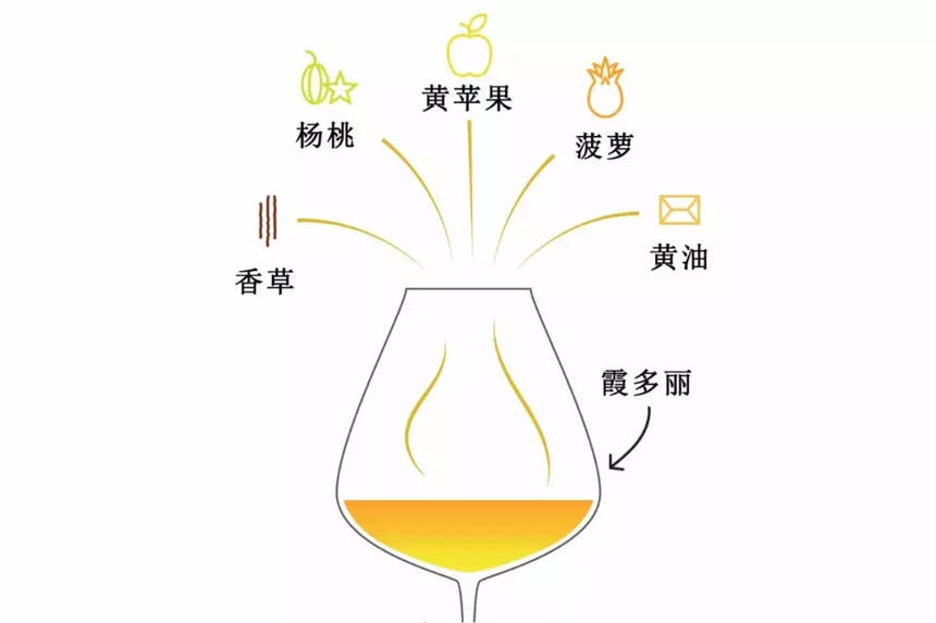 这杯葡萄酒到底有什么香气？