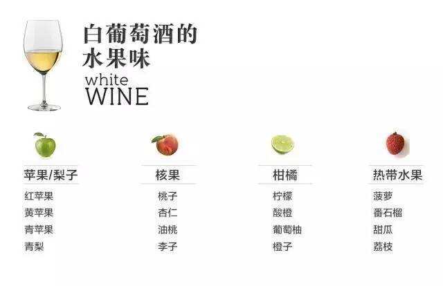 如何专业的品鉴葡萄酒？