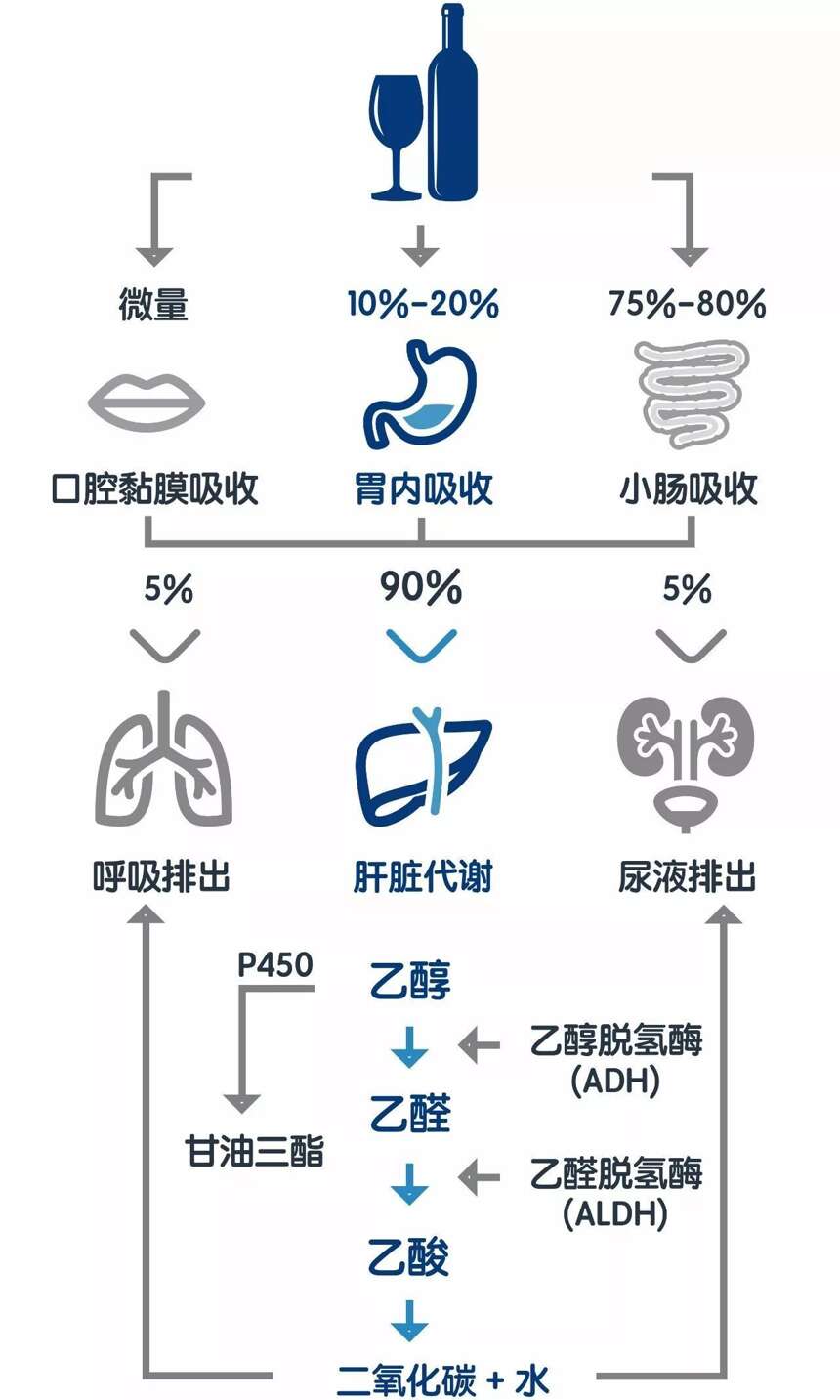 一沾酒便红脸的人，酒桌上惹不起