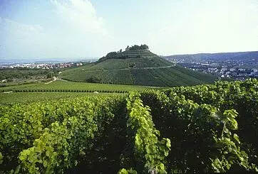 了解德国葡萄酒，从这13个产区开始