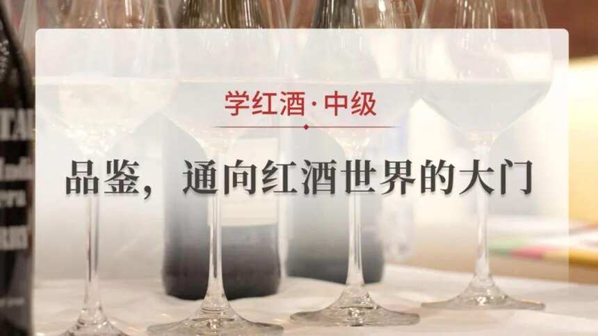 从小白到葡萄酒达人，你只差这份“秘籍”