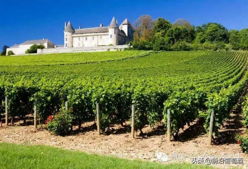 法国勃艮第伯恩(BEAUNE)产区的葡萄酒简介