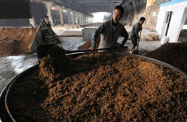 都是酿酒的好原料，为何高粱成了名优白酒的“宠儿”呢？看完懂了