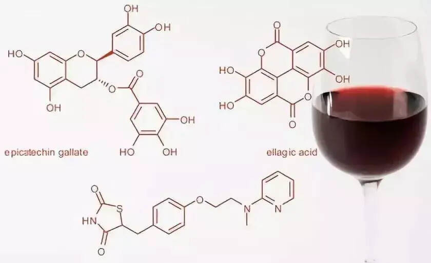 喝红酒减肥，真的是你想象那样吗？