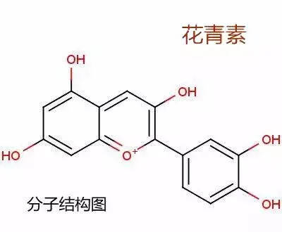 忘了肥宅快乐水吧，健康的人都喝葡萄酒