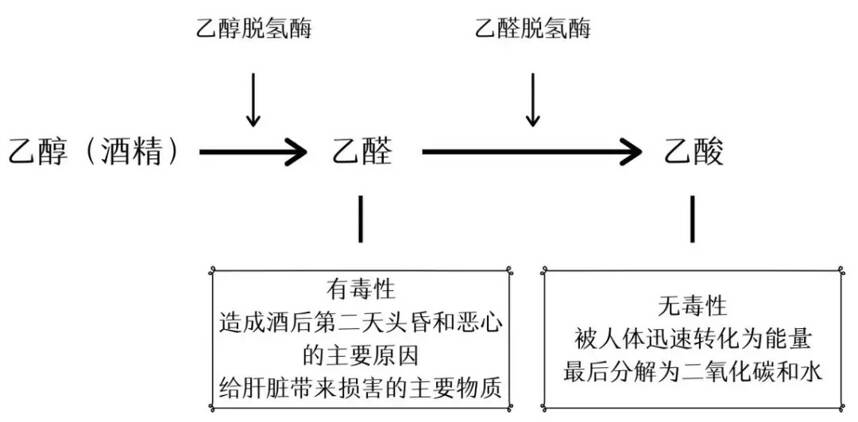 盘点红酒博主的各种迷惑发言，这届消费者太难了