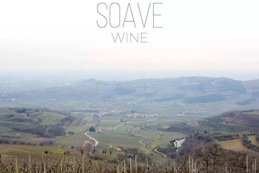 索阿韦 Soave：意大利白葡萄酒的代名词
