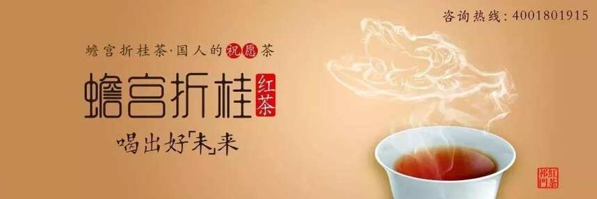 蟾宫折桂茶的前世今生