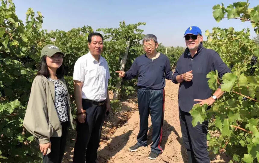 一位酿酒师视角下的葡萄酒知识宝典