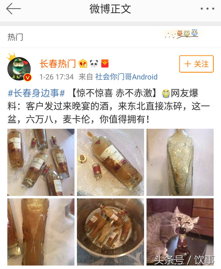 惨不忍睹，麦卡伦6.8万惨剧能否避免？