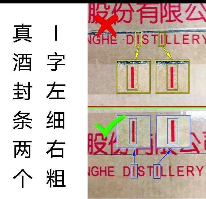 新的洋河直系鉴定简单介绍