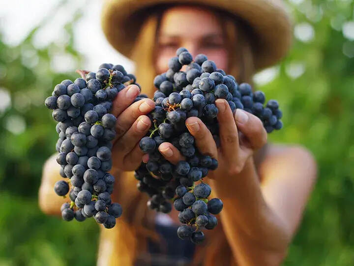 餐酒搭配：深度解析葡萄酒与牛排不同部位的搭配