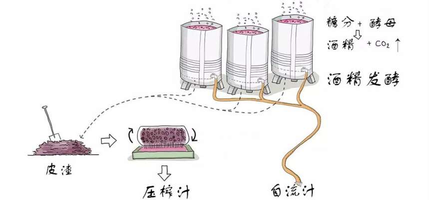 意大利的美酒中，你不能不知道Amarone