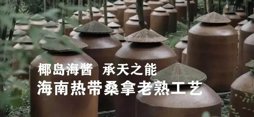 椰岛海酱－还是那个熟悉的酱香味道