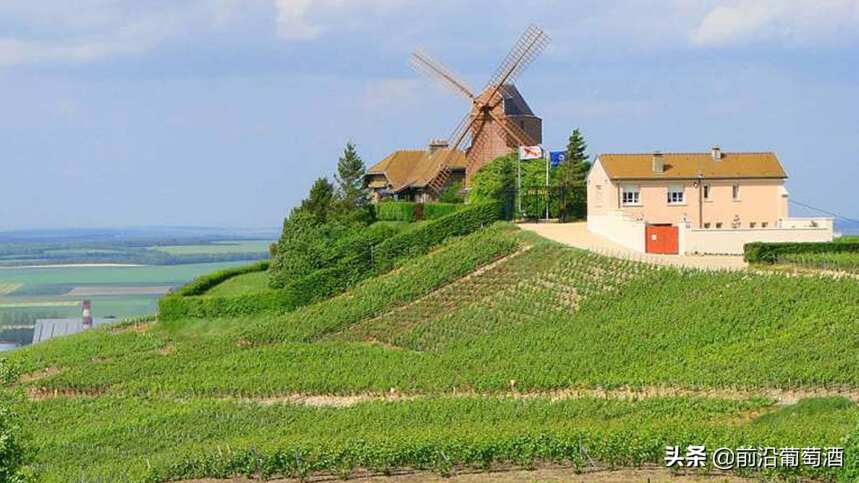气候土壤与葡萄园的秘密，独特的风土造就了风格各异的法国葡萄酒