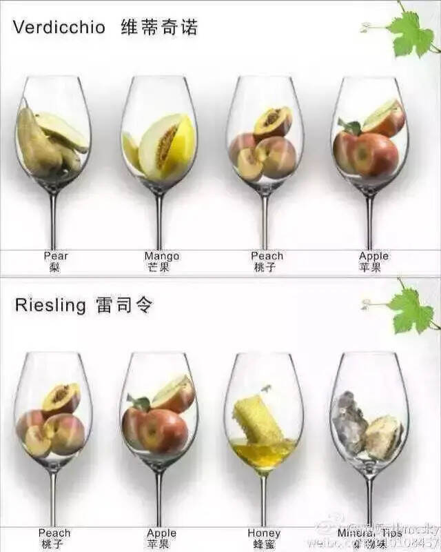 18种酿酒葡萄的主要香气一览图