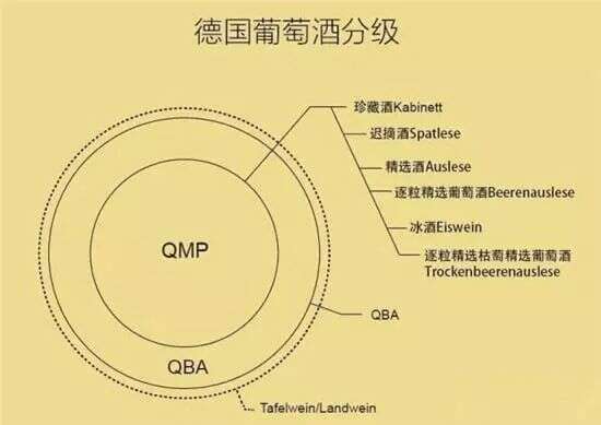 技能丨六个单词，让你搞懂德国葡萄酒