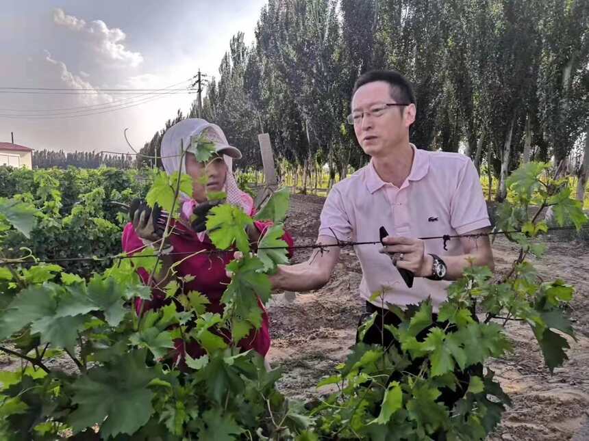 「微酒关注」阳光田宇，未来葡萄酒的样子