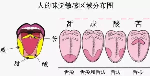 买回来的红酒又酸又涩，怎么回事？