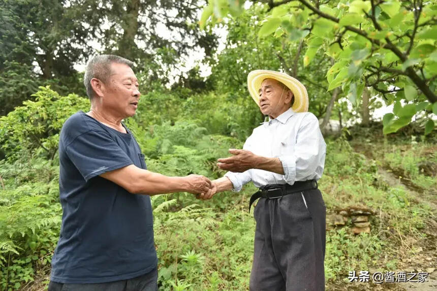 茅台老人坚守深山23年！看最可敬的人牵手...