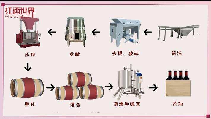 红、白葡萄酒的酿造故事