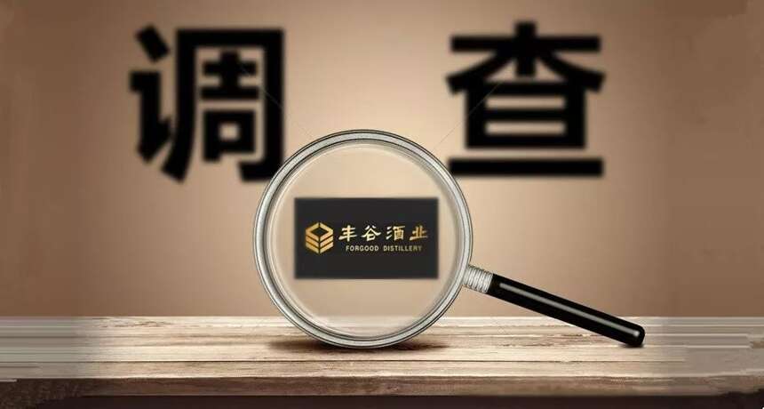 「微酒独家」丰谷事件调查簿：真相不止一个