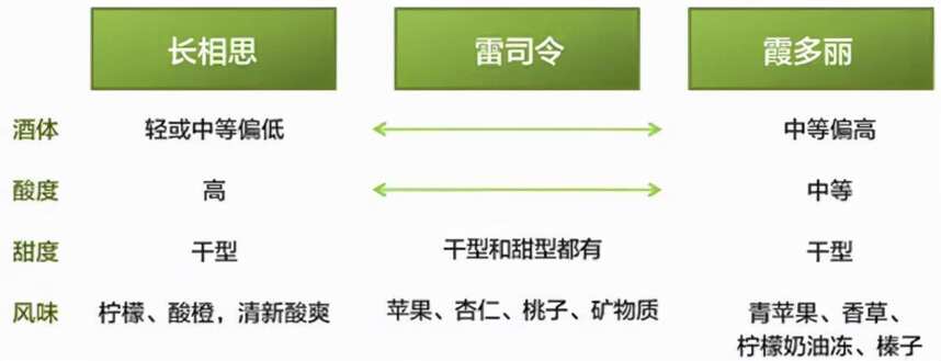 霞多丽、长相思和雷司令 3 大主流白葡萄品种谁更胜一筹？