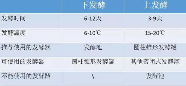 喝了那么多啤酒，你知道它是怎么来的吗？