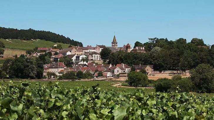 解惑 | 为什么波尔多的酒庄常叫Château，勃艮第却叫Domaine？