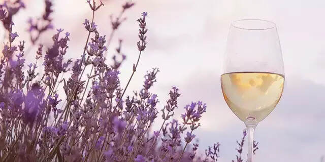 葡萄酒中有哪些常见的花香？