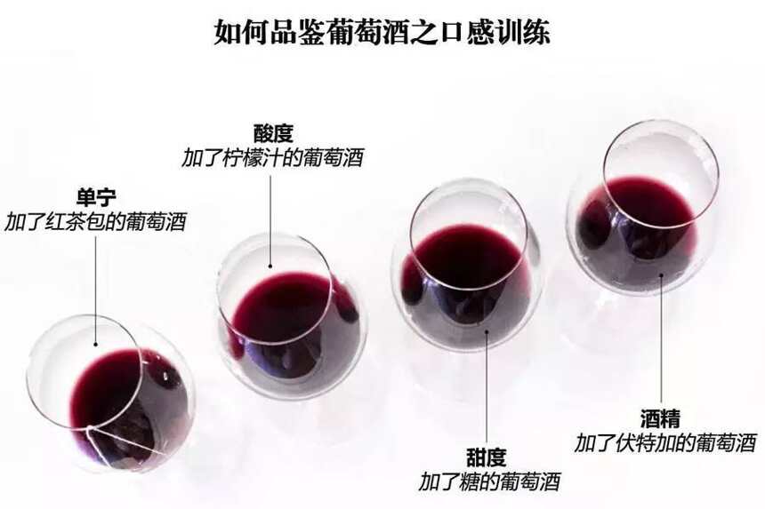 教你如何感受葡萄酒中的单宁、酸度、甜度和酒精