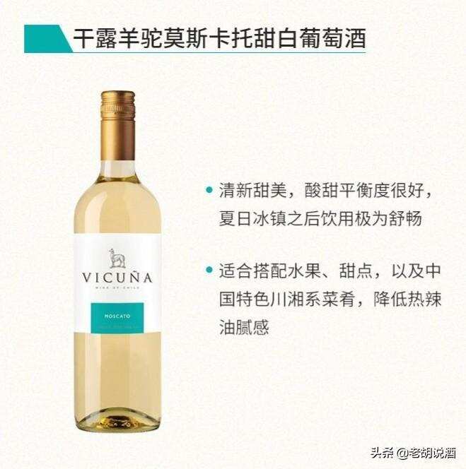 智利干露酒庄羊驼（Vicuna)葡萄酒