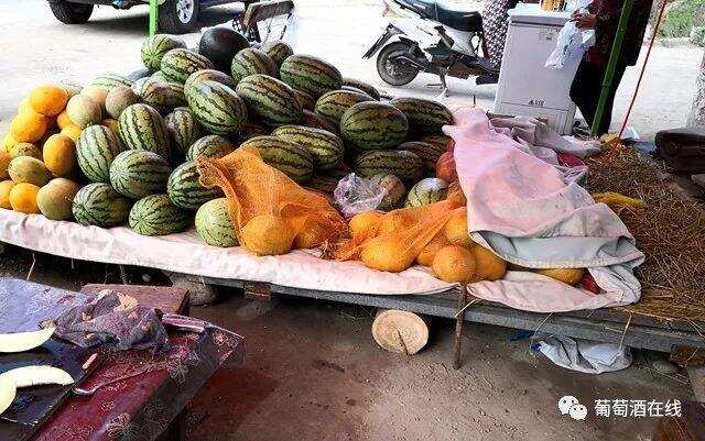 新疆伊犁河谷，集美酒美食美景于一体的葡萄酒产区