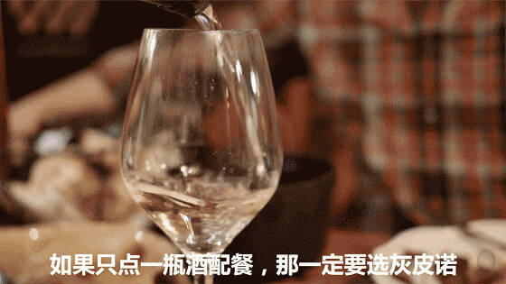 葡萄酒配餐指南，新手必看！