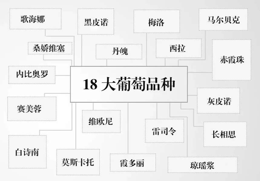 葡萄酒的世界太复杂？记住这 9 点你就入门了