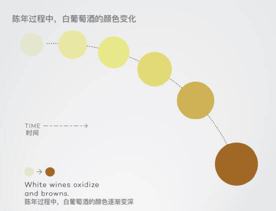 入门 | 喝葡萄酒的人，为什么气质就是和别人不一样呢？