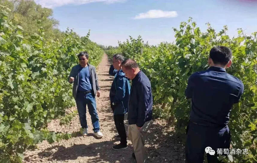 WINE 简报 | 苏富比在英国首次拍卖茅台；可口可乐卖酒；胡桃里起诉“湖桃里”