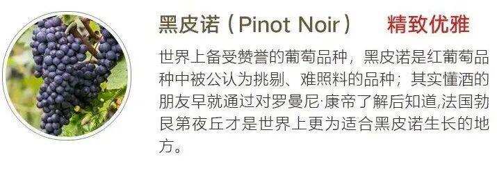 「法庄」勃艮第Pinot Noir黑皮诺