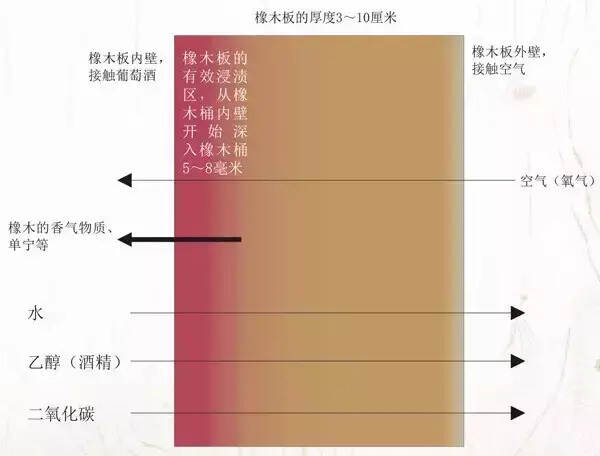 别抢了，玩好了橡木桶的葡萄酒，就是万众瞩目的C位！