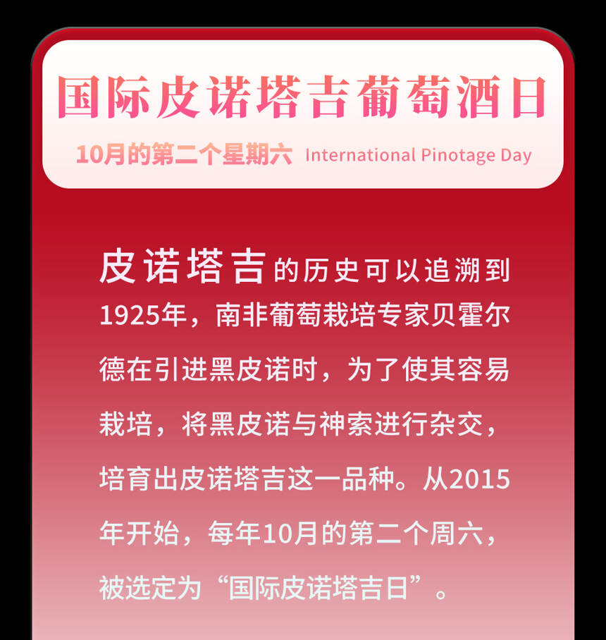 今天是国际长相思日！葡萄酒这些节日小编做了18张小卡片