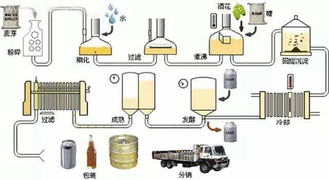 喝了那么多啤酒，你知道它是怎么来的吗？