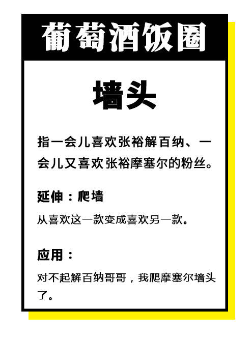 叮咚！你收到一本《葡萄酒饭圈用语指南》