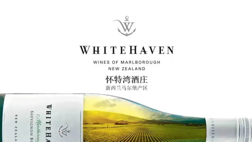 进口额同比增长43.08%，6家新西兰酒庄逆势崛起有何秘诀？