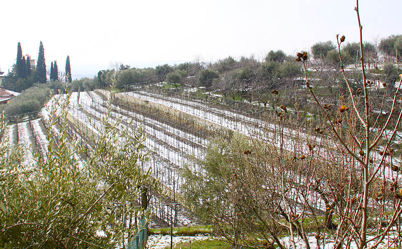 福山酒庄：瓦坡里切拉百年精品名庄