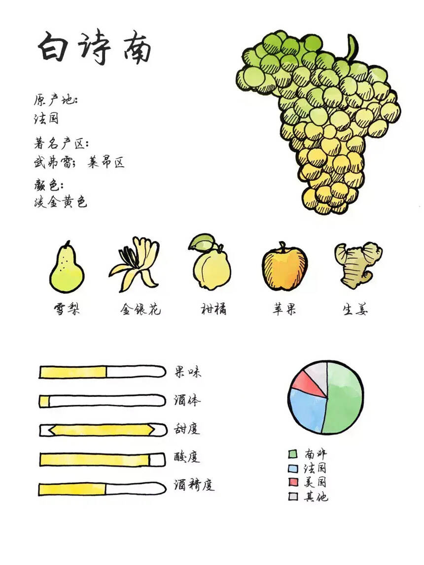 图解20大常见葡萄品种的特点，绝对要收藏！