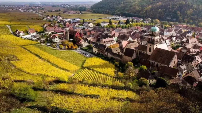 世界上最美的葡萄酒产区，你去过吗？