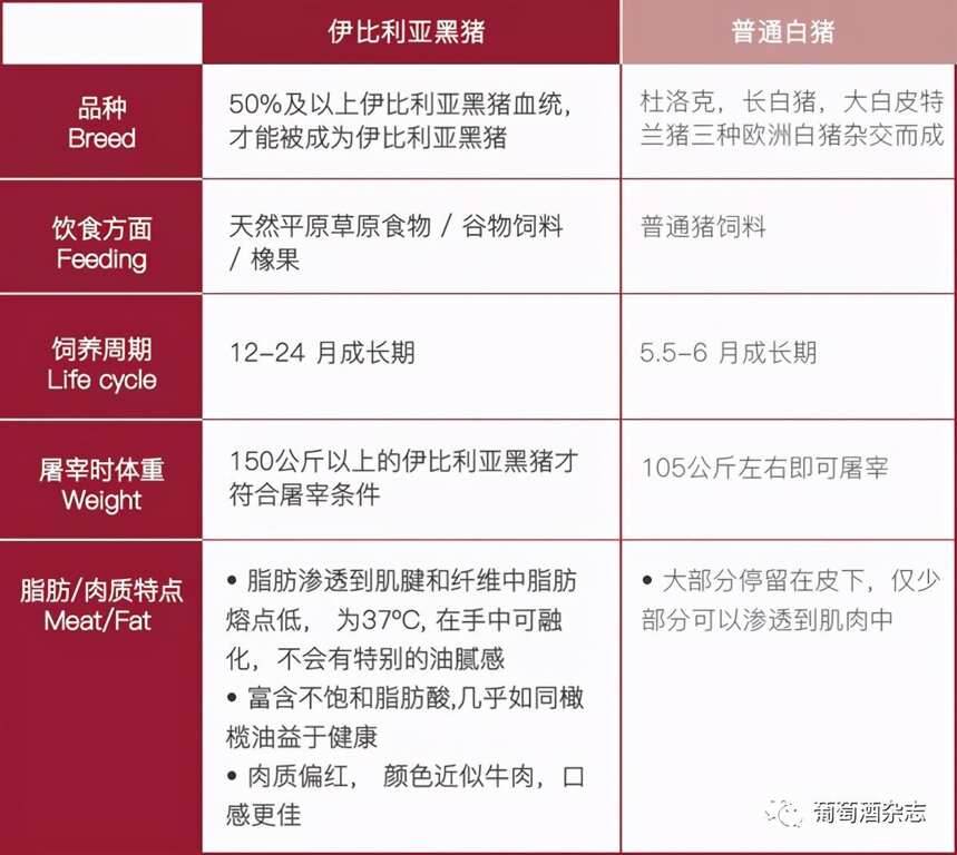 切火腿还有“侍肉师”？西班牙火腿凭什么成为火腿界的贵族