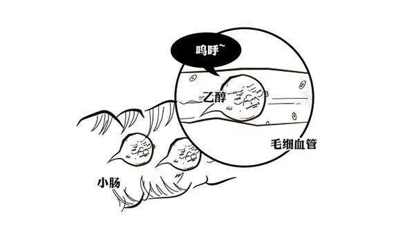 被称为“失身酒”的“深水炸弹”，一喝就断片，老酒鬼也要认怂