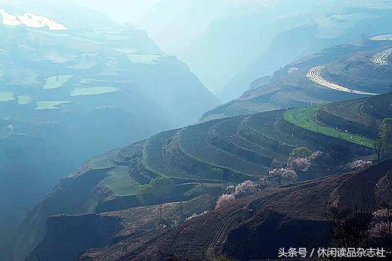 梯田和杏花搭配，在宁夏彭阳看到别样的风景